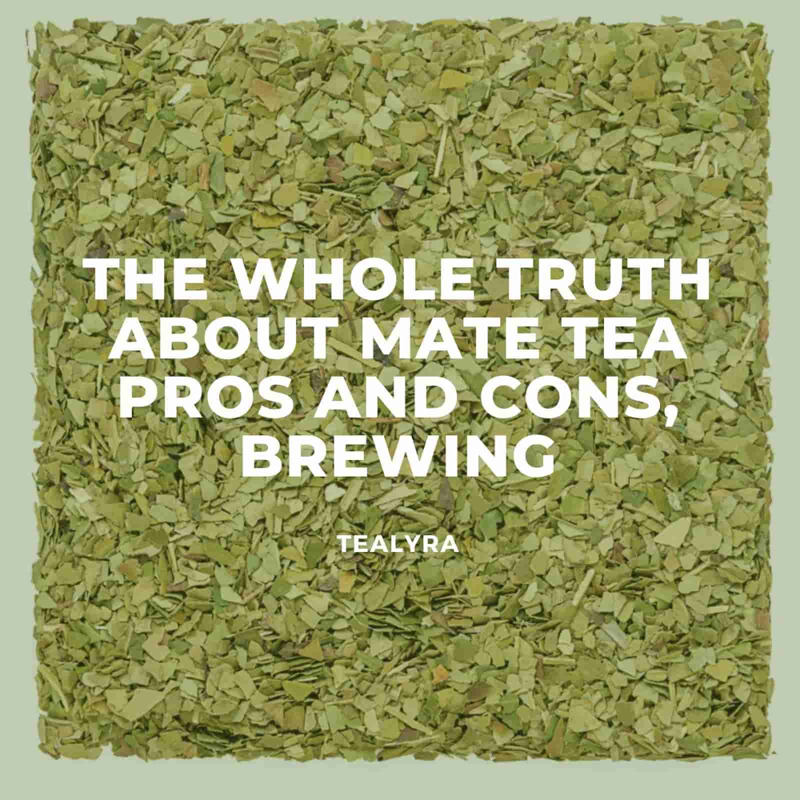 The whole truth about mate tea pros and cons, brewing
