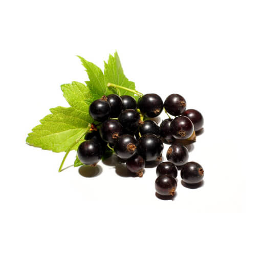 Blackcurrant