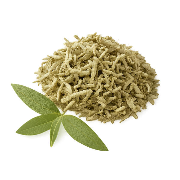 Verbena