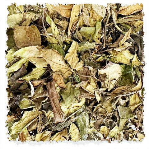 Shou Mei blanc âgé de 3 ans