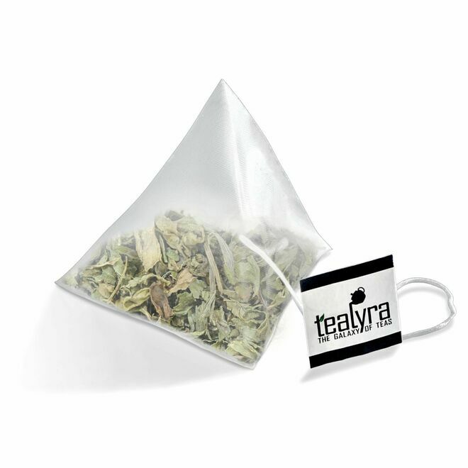 Menta de la Costa Pacífica