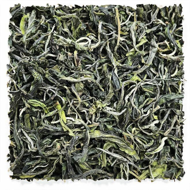 Winter 1st Flush Yunnan Green