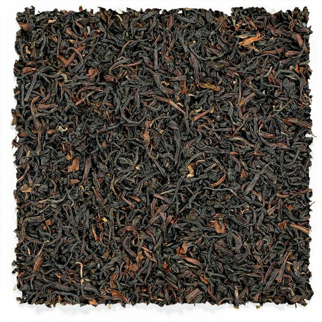 Ringtong Spring Darjeeling