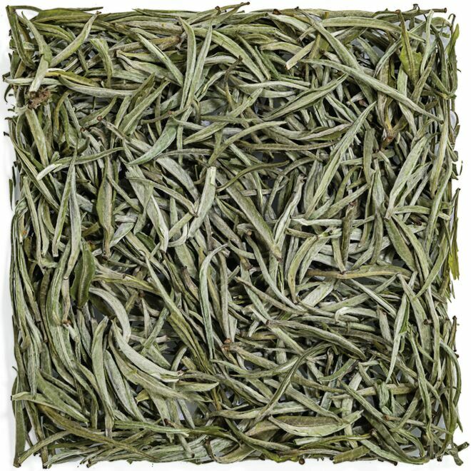 Darjeeling Silver Needle